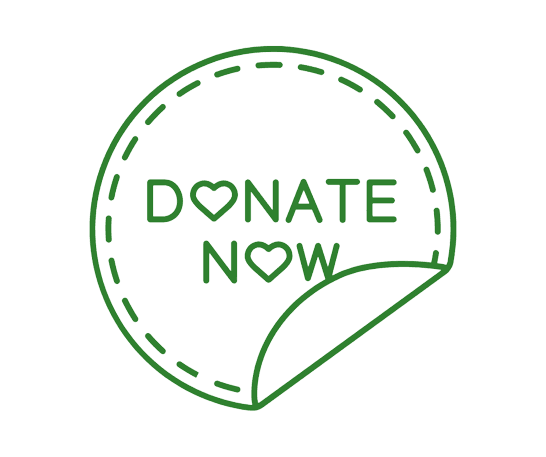 donate now icon