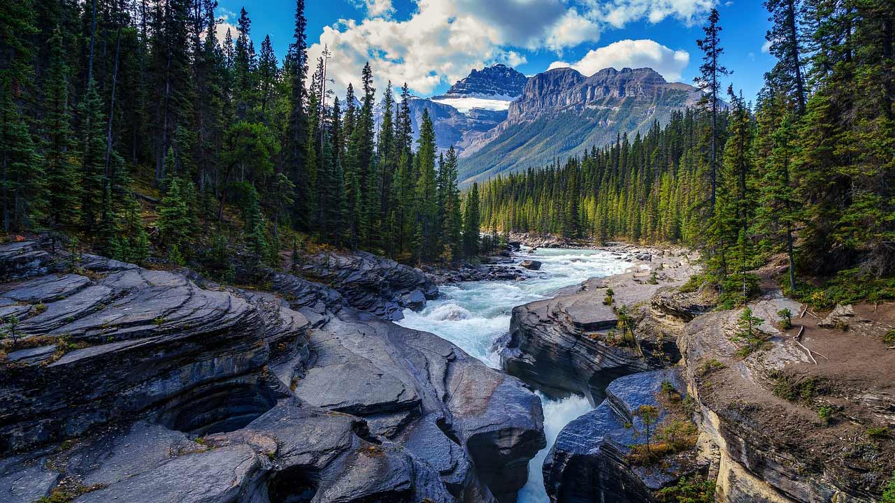 Everything You Need to Know About Water Filters for Camping cover
