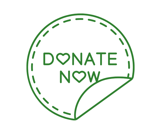 donate now icon